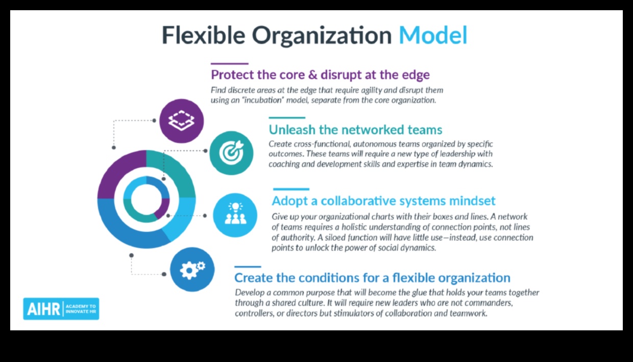 הרמוניית נתונים: איזון צורה ותפקוד בפתרונות טרנספורמציה