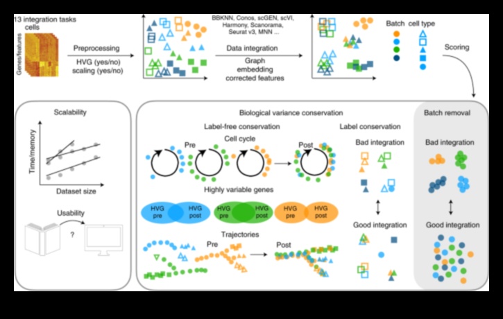הרמוניית נתונים: איזון צורה ותפקוד בפתרונות טרנספורמציה
