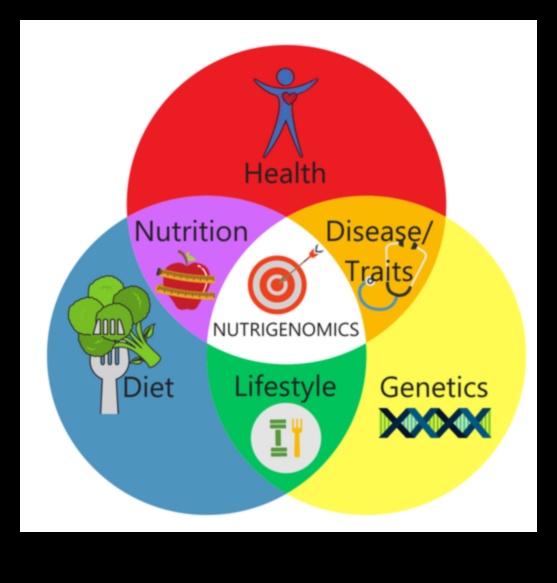 פתח את הכוח של הגנים שלך עם Nutrigenomics 3 חוכמה גנטית בכל ביס: הסבר על נוטריגנומיקה