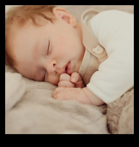 הרמוניה של Hush-a-Bye יצירת נווה מדבר שליו לשינה 3 Hush-a-Bye Harmony: יצירת מקלט שינה שליו