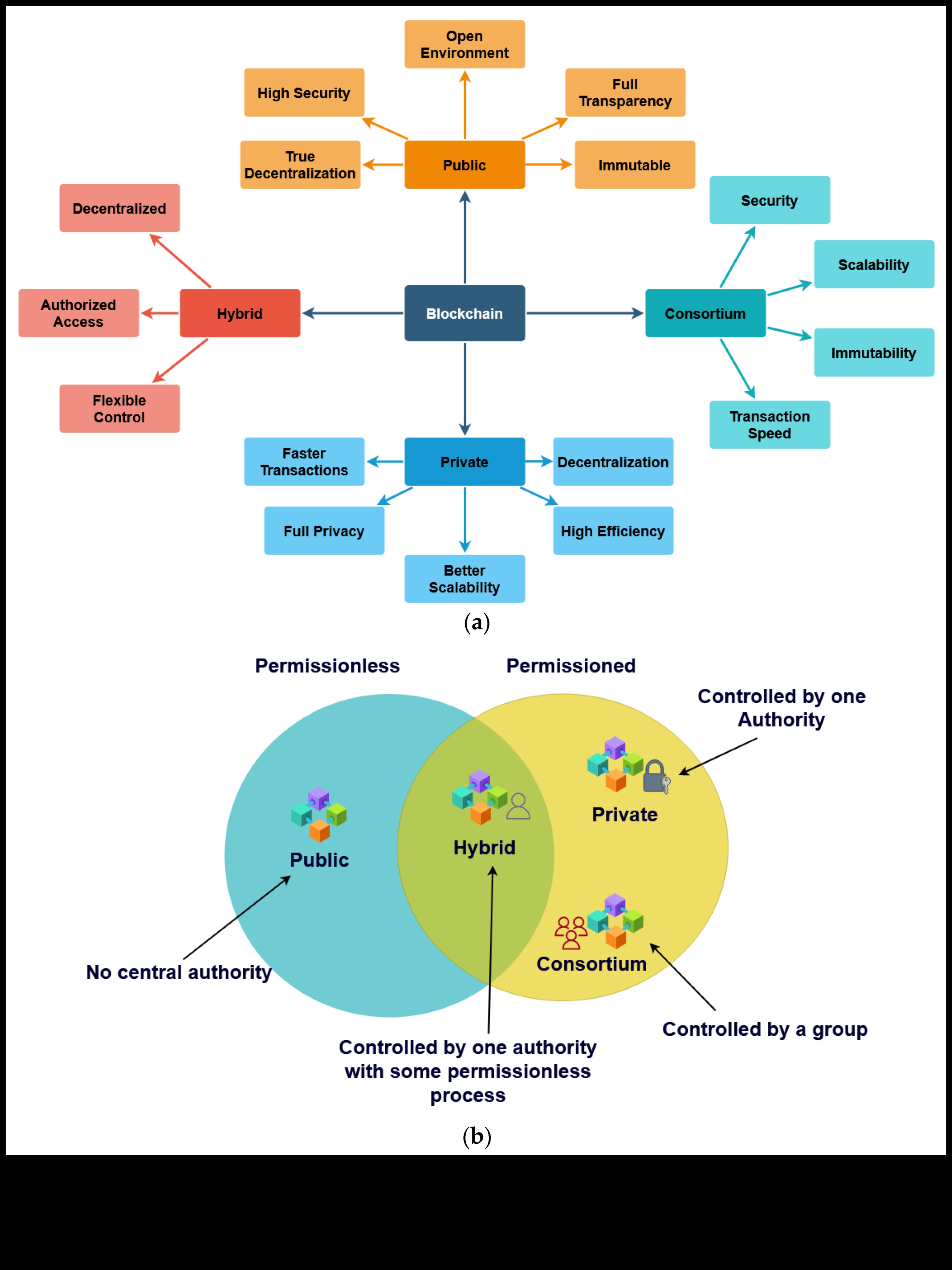 חשיפת אמון: אמנות חקר הבלוקצ'יין המתקדם
