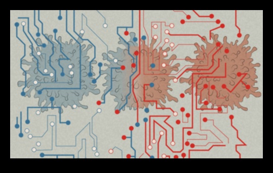 סימפוניה סלולרית סימפוניה של בריאות 3 סימפוניה סלולרית: הרמוניה של בריאות עם ביוכימיה תזונתית