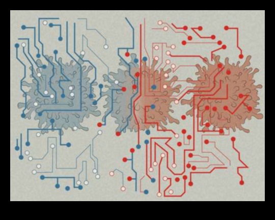 סימפוניה סלולרית סימפוניה של בריאות 2 סימפוניה סלולרית: הרמוניה של בריאות עם ביוכימיה תזונתית