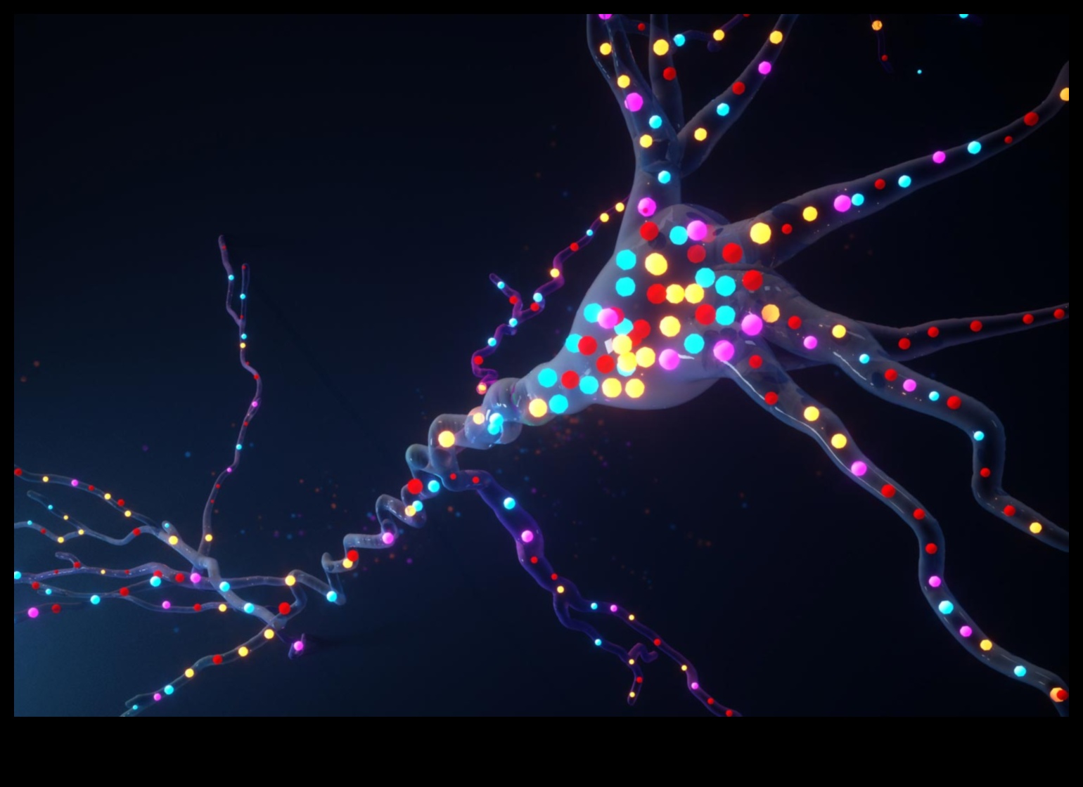 סימפוניה סלולרית סימפוניה של בריאות 5 סימפוניה סלולרית: הרמוניה של בריאות עם ביוכימיה תזונתית