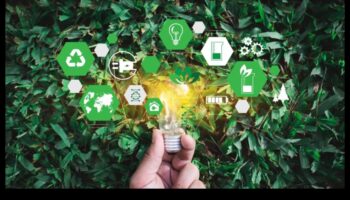 Green Mavericks: פורץ דרך בעולם של אמנויות יצירתיות ופתרונות ידידותיים לסביבה