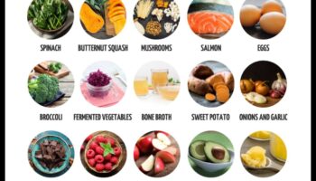 תדלוק חוסן: אסטרטגיות תזונתיות לניהול מתח