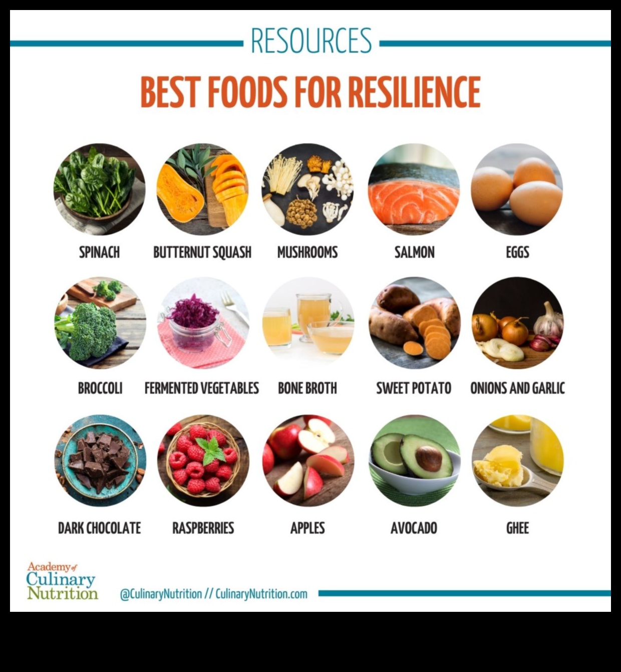 תדלוק חוסן: אסטרטגיות תזונתיות לניהול מתח