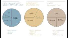 הצלחת האופטימלית ויטמין מאוזנת לביצועים גובה 5 הצלחת האופטימלית: ייעוץ תזונתי לביצועי שיא