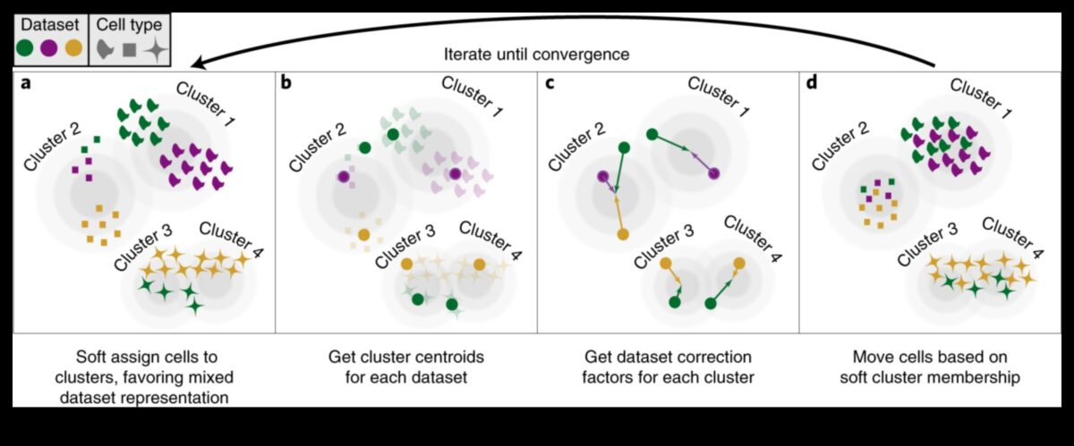 הרמוניית נתונים: איזון צורה ותפקוד בפתרונות טרנספורמציה