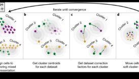 הרמוניית נתונים: איזון צורה ותפקוד בפתרונות טרנספורמציה