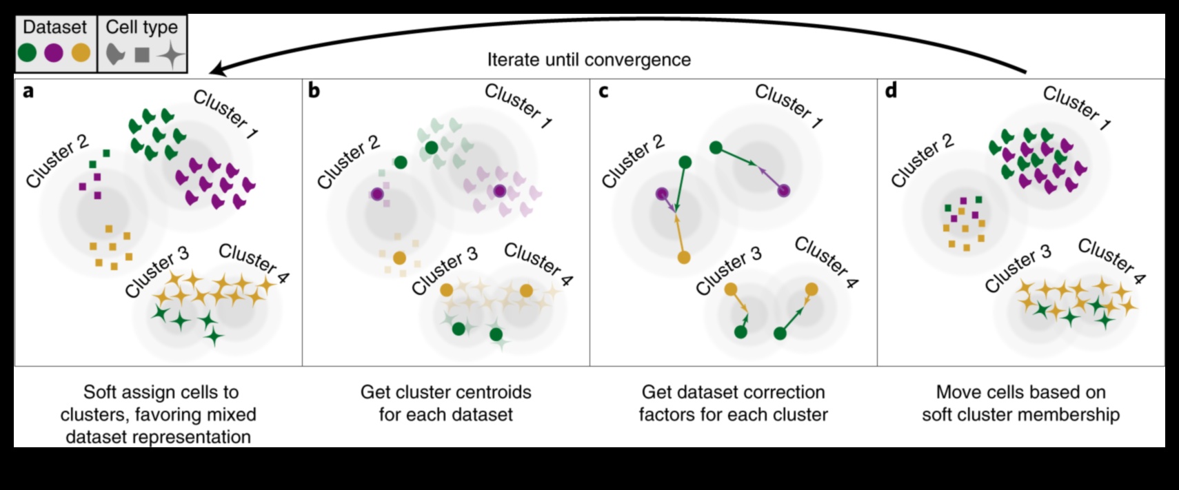 הרמוניית נתונים: איזון צורה ותפקוד בפתרונות טרנספורמציה