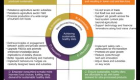 שינוי תדלוק: טרנספורמציות תזונתיות של בריאות הציבור