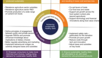 שינוי תדלוק: טרנספורמציות תזונתיות של בריאות הציבור