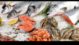 אומנות קולינרית עם פירות ים טריים: יצירה של תענוגות חוף