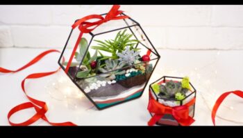 אושר בוטני: מתנות גינון לחובבי צמחים