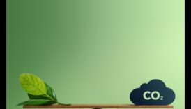 עיצוב אופקים ירוקים: מגמות וניצחונות באמנויות יצירתיות ובר קיימא