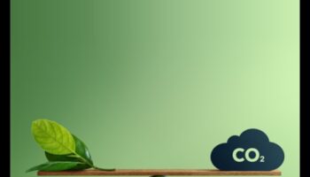 עיצוב אופקים ירוקים: מגמות וניצחונות באמנויות יצירתיות ובר קיימא