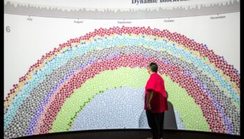 עיצובים דינמיים: הדמיית עסקאות עם פתרונות בלוקצ'יין אינטראקטיביים